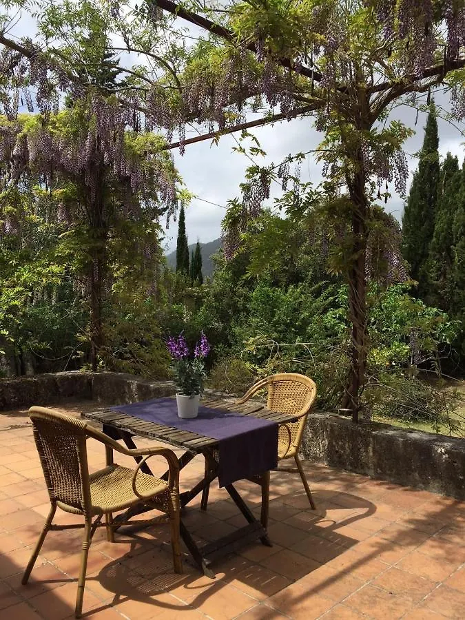 Finca Can Trui Teresa Pollença Dağ evi